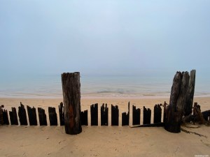 Remains of a jetty or fence in the sand in the fog