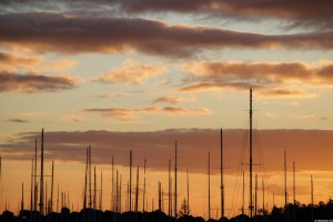 Auckland yacht masts with sunset